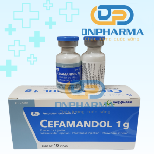 Cefamandol 1g điều trị nhiễm khuẩn đường hô hấp dưới gây ra bởi vi khuẩn