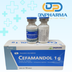 Cefamandol 1g điều trị nhiễm khuẩn đường hô hấp dưới gây ra bởi vi khuẩn