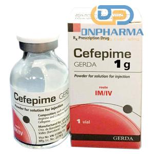 Cefepime Gerda 1g, điều trị nhiễm trùng cấp tính và viêm phế quản mạn